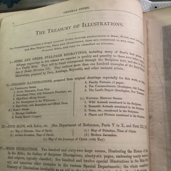 1881 self interpreting pictorial family Bible containing the old/ new testaments - Picture 5 of 8